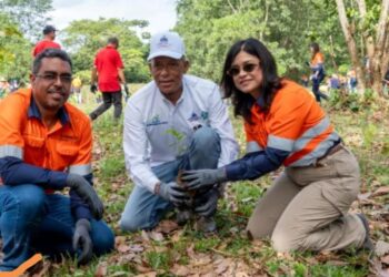 Comunidades de Hatillo y Barrick Pueblo Viejo siembran 2,000 árboles en arroyo Margajita