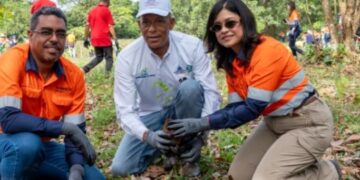 Comunidades de Hatillo y Barrick Pueblo Viejo siembran 2,000 árboles en arroyo Margajita