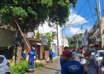 Alcaldía intensifica operativos de poda y limpieza preventiva ante incidencia de aguaceros en la capital