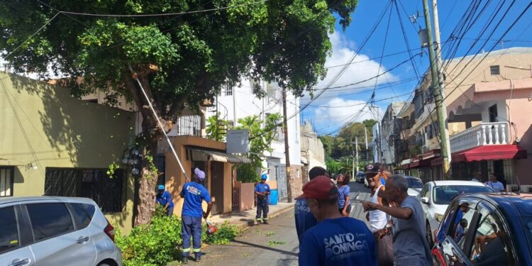 Alcaldía intensifica operativos de poda y limpieza preventiva ante incidencia de aguaceros en la capital