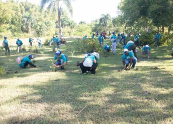 La Nacional reafirma su compromiso con el medio ambiente con jornada de reforestación en Monte Plata