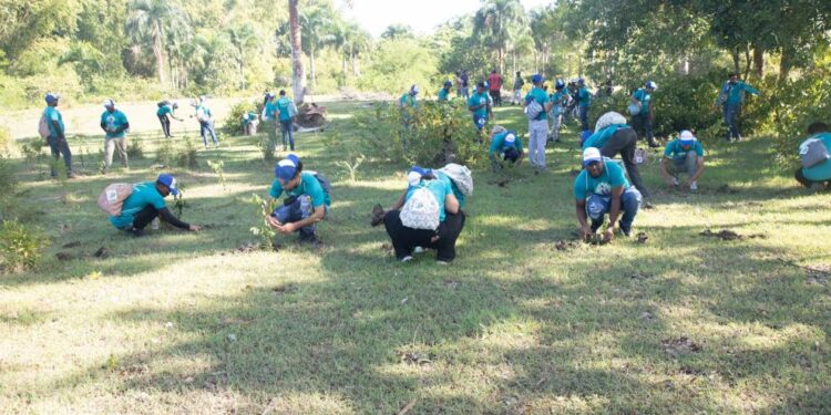La Nacional reafirma su compromiso con el medio ambiente con jornada de reforestación en Monte Plata
