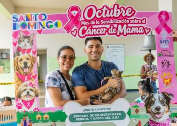 Alcaldía del Distrito Nacional esteriliza 107 perros y gatos en jornada de bienestar animal