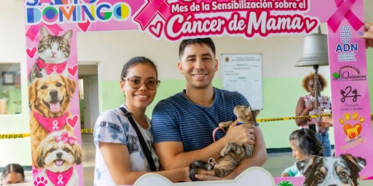 Alcaldía del Distrito Nacional esteriliza 107 perros y gatos en jornada de bienestar animal